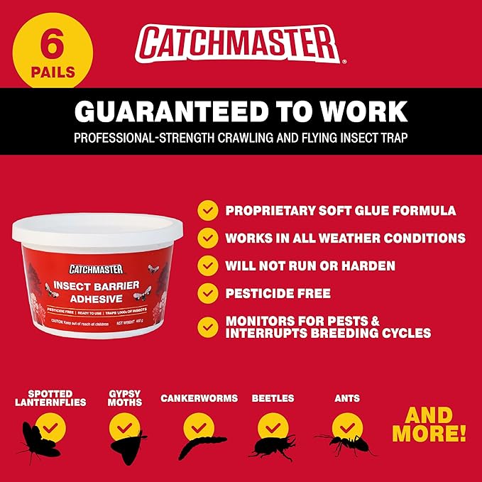Catchmaster Tree Banding Insect Barrier 6Pk, 15oz Pails, Lanternfly & Ant Traps, Outdoor Adhesive Crawling Insect Trap, Glue Traps to Protect Trees, Fruit & Plants