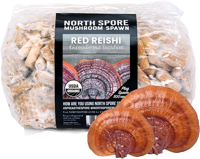 North Spore Organic Reishi (500 ct) Mushroom Plugs for Logs | Premium Quality Mushroom Plug Spawn | Handmade in Maine, USA | Grow Gourmet Mushrooms Outdoors on Logs | Ganoderma lucidum