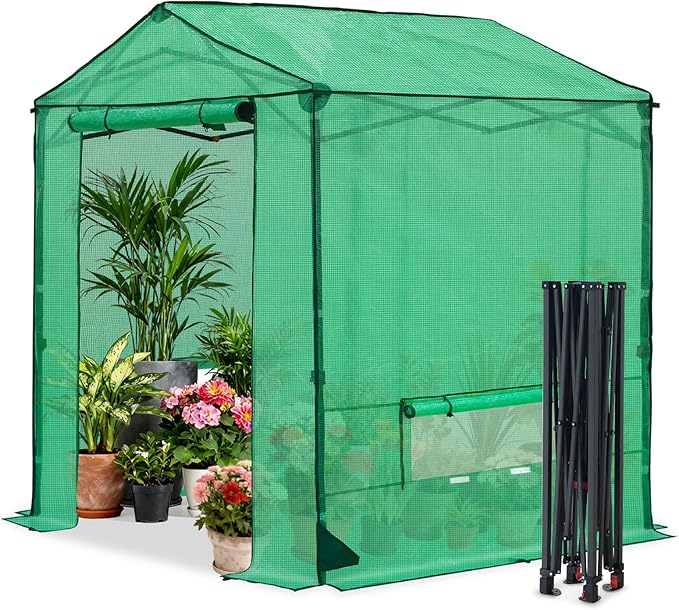COOS BAY 6x6 FT Pop up Greenhouse Outdoor, Walk in Green House with Power Access Openings, Zippered Doors & Windows, Durable PE Cover, Green