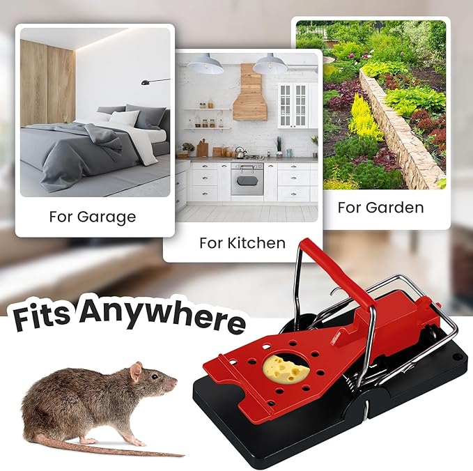 Qualirey 24 Pcs Mouse Traps Plastic Snap Rat Trap Bulk Reusable Quick Effective Safe for Indoor Outdoor Home House Warehouse Garden Kitchen 3.86 x 1.81 x 2.17 Inch (Red)