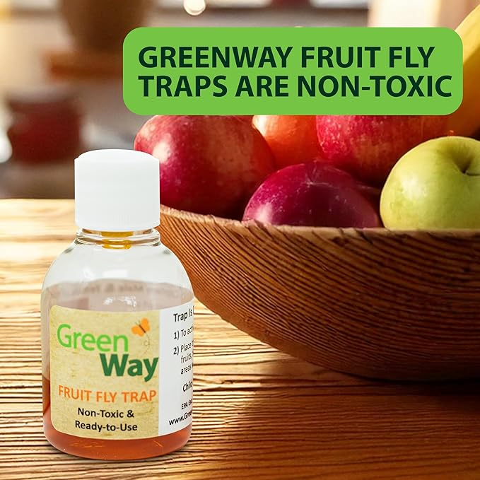Greenway Traps Fruit Fly Trap, Indoor and Kitchen, Reduced Fruit Fly Infestations, Non-Toxic, Long-Lasting, 2 Packs (Includes 4 Traps)