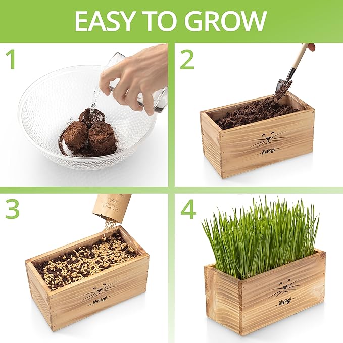 Cat Grass Kit for Indoor Cats – x4 Seed Packets | Cat Grass Seeds with Wooden Planter, Soil & Mini Gardening Tools for Nipping – Pet Wheatgrass Grass