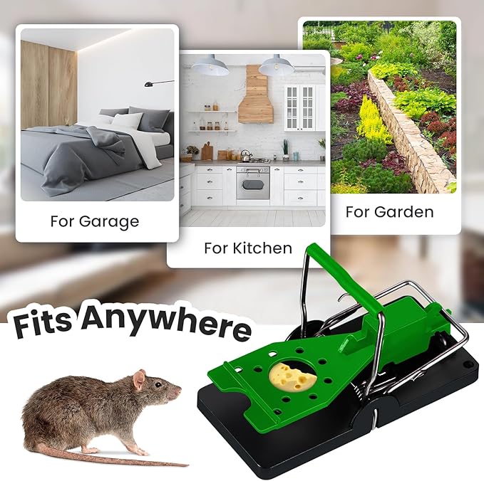 Qualirey 24 Pcs Mouse Traps Plastic Snap Rat Trap Bulk Reusable Quick Effective Safe for Indoor Outdoor Home House Warehouse Garden Kitchen 3.86 x 1.81 x 2.17 Inch (Black,Green)