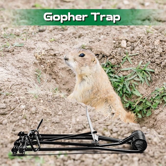 Qualirey 4 Pcs Outdoor Gopher Trap Easy Set Mole Trap Weather Resistant Gopher Killer Vole Killer for Lawn Garden Farm (Black)