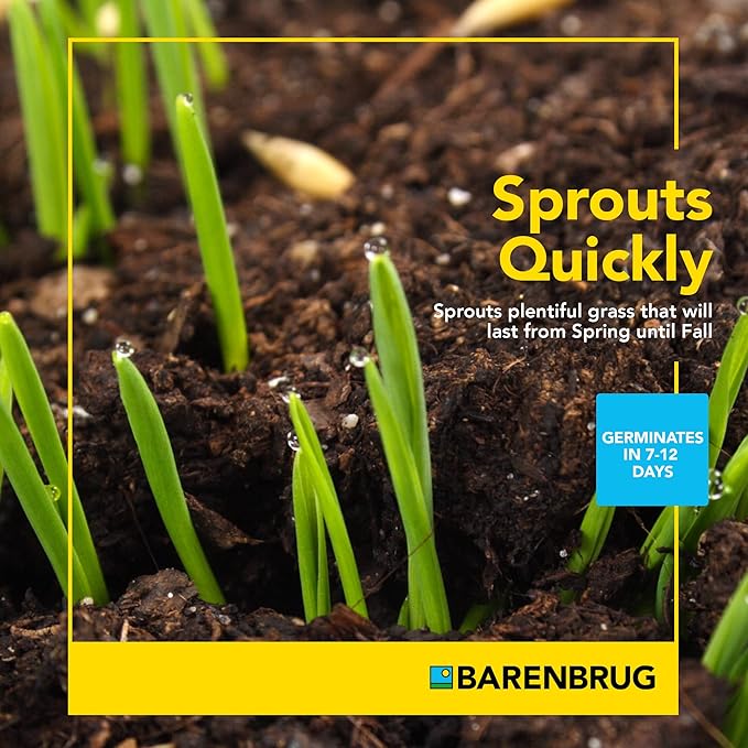 Barenbrug Wonderlawn Sun and Shade Grass Seed Mix for Lawn Care and Landscaping, 10 lbs. Bag
