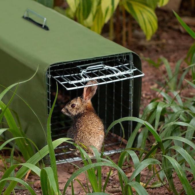 Trap Cage Cover,ONLY Cover, Cage not Included, Heavy Duty Animal Trap Cage Cover Small Animal Trap Cover for 1-Door Humane Cat Trap 32 x 10 x 12inch (Army Green，ONLY Cover, Cage not Included)