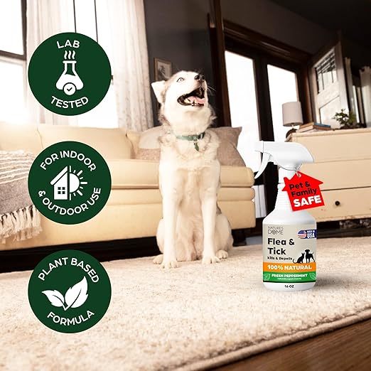 Nature’s Dome Outdoor Flea & Tick Spray – 1 Gallon Refill – Kills & Repels Fleas, Ticks, Larvae & Eggs – Plant-Based Pest Control for Yard, Lawn & Patio – Safe for Pets, Kids & Plants