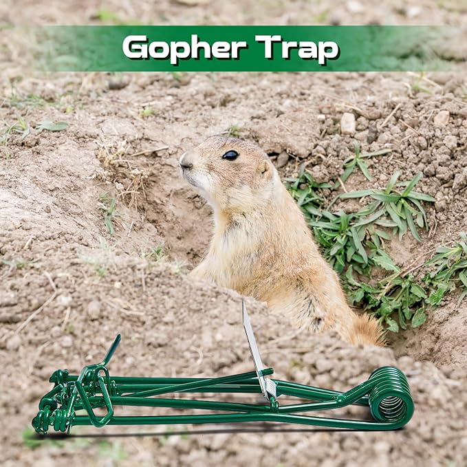 Qualirey 24 Pcs Outdoor Gopher Trap Easy Set Mole Trap Weather Resistant Gopher Killer Vole Killer for Lawn Garden Farm (Green)