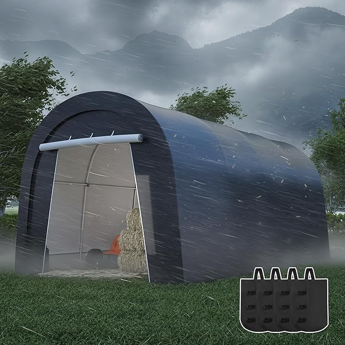 Kiss the Water Domed Carport with 4 Cloth Bags, Portable Garage with 2 Roll-up Doors, Heavy Duty Car Canopy Party Tent, All-Season Storage Shelter Shed for Cars, Truck, or Garden Tools, 10' x 20'