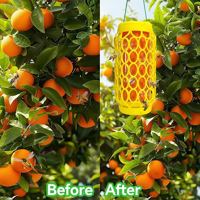 2 Pack Wasp Trap Outdoor Hanging, Wasps Traps for Patio with Honey Tray, 6 PCS Refillable Sticky Papers, Outdoor Sticky Yellow Jacket Bee Trap Insects Catcher, Fly Bug Insect Deterrent Killer
