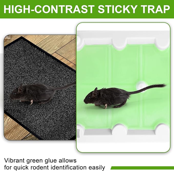 Qualirey 100 Pack Mouse Glue Trap, Super Sticky Traps Mouse Size for Mice and Rats, Pre-Scented, Non Toxic Mice Glue Boards, Rodent Sticky Pads Indoor for Home, Easy to Use, Pet Safe Pest Control