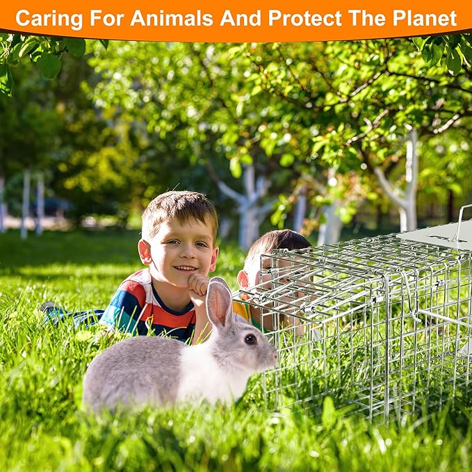 Humane Animal Cage Trap - Collapsible Galvanized Steel Live Cage Trap for Raccoons, Groundhogs & Stray Cats, 24"x8"x7", Indoor/Outdoor Use (Catch & Release)