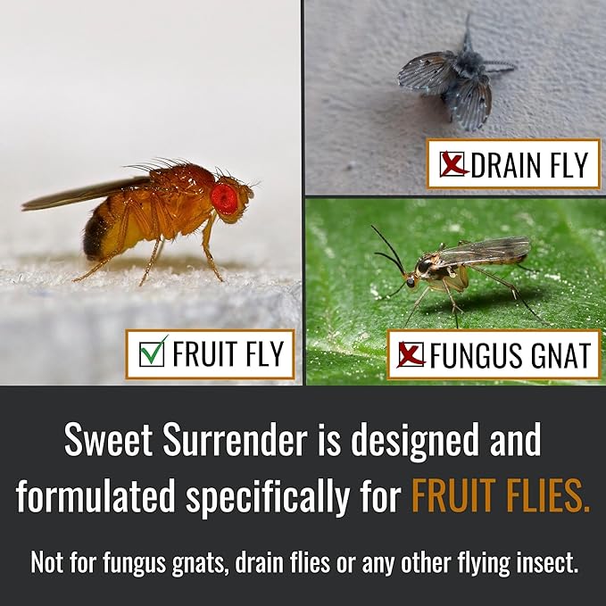 Dr. Killigan’s Fruit Fly Refill Liquid - Long-Lasting 24-Week Protection, Works with Apple Traps, Pet-Friendly and Safe for Everyday Family Use, Made in USA (16 oz)