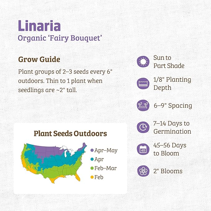 Back to The Roots 100% Organic Heirloom Seeds - Linaria Flowers (100mg Total)
