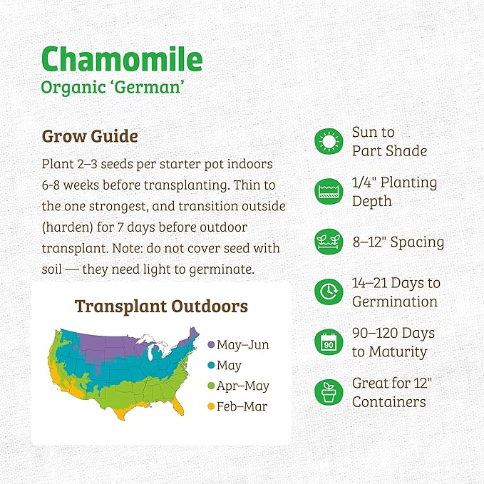 Back to The Roots 100% Organic Heirloom Seeds - Chamomile Seeds for Planting Value Pack (140mg Total)