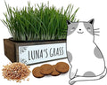 Whetagrass Kits (Wheatgrass Grow Kit - Custom Box)