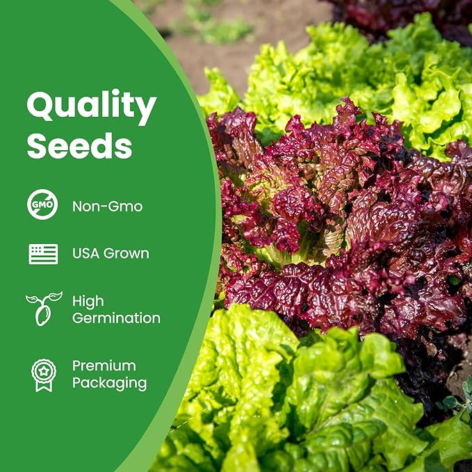 7000+ Organic Lettuce Seeds Collection - 7 Variety Heirloom Lettuce Seeds Mix Iceberg, Romaine, Bibb, Butter Crunch, Black-Seeded Simpson & More Non-GMO, Heirloom for Hydroponics or Garden