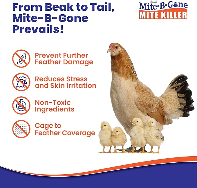 Mite Killer Treatment Spray Pack by Mite-B-Gone | Kills All Types of Mites, Dust, Spider, Rat, Carpet & Bird Mites | Safe for Homes, Furniture & Pets | Non-Toxic | Kid & Pet Friendly | 1 Gal 4-Pack