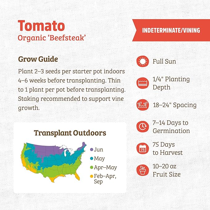 Back to The Roots 100% Organic Heirloom Seeds - Beefsteam Tomato Seeds for Planting Value Pack (200mg Total)
