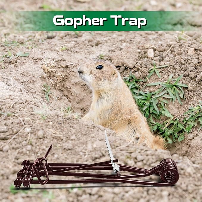 Qualirey 12 Pcs Outdoor Gopher Trap Easy Set Mole Trap Weather Resistant Gopher Killer Vole Killer for Lawn Garden Farm (Coffee)