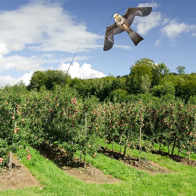 Bird Hawk Flying Kite for Crops Farm Protector Bird Scarer Kites Without Pole-Style B Kite