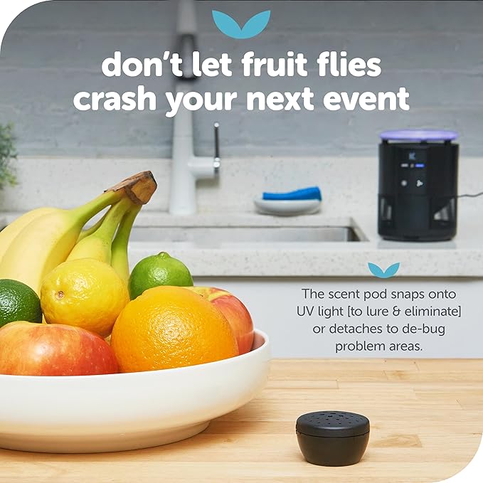 Katchy Duo Indoor Fruit Fly Trap (White) & 8 Pack Refillable Glue Boards