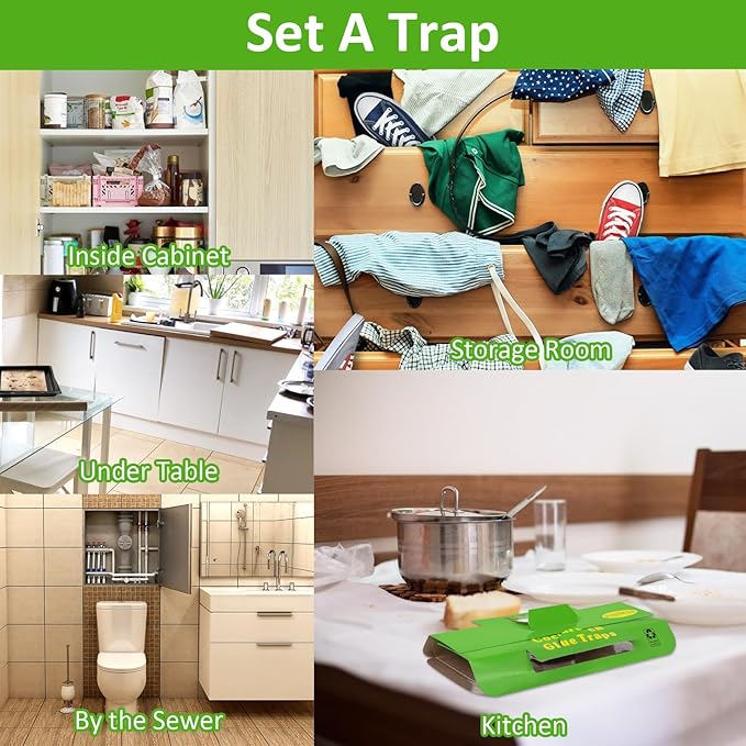 18 Pack Roach Traps Indoor Roach Killer Indoor Infestation, Cockroach Killer Indoors Home Cockroach Trap Sticky Traps for Insects