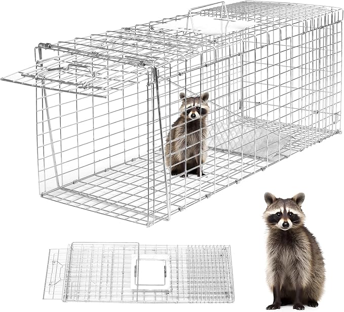 Animal Trap 32"x10"x12" Cage Trap, Heavy Duty Folding Raccoon Traps, Humane Cat Trap for Stray Cats,Rabbits,Squirrels,Outdoor Small Animal Trap,Humane Catch & Release
