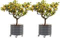 Rolling Metal Citrus Tree Planter, Self-Watering Round Planter Box for Porch Patio & Backyard, Raised Garden Bed with Wheels for Growing Trees Tomatoes Vegetables and Flowers, Twin Pack-Modern Gray