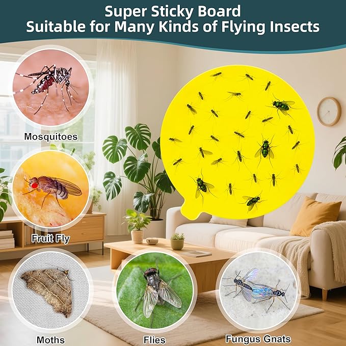 48 Pcs 4.3" Replacement Glue Boards for Katchy,Indoor Insect Trap Refills Compatible wifh Katchy,Dunaga,Fenun,and Fvoai