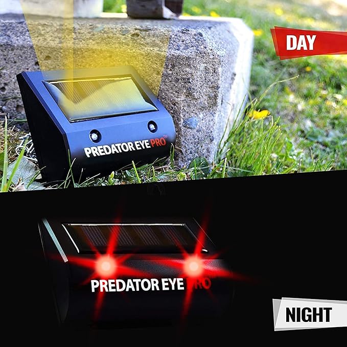 ASPECTEK Predator Eye PRO - Solar-Powered Predator Light with Kick Stand, 4600 Sq. Ft. Coverage for Night-Time Animal Control and Pest Repeller, 2 Pack