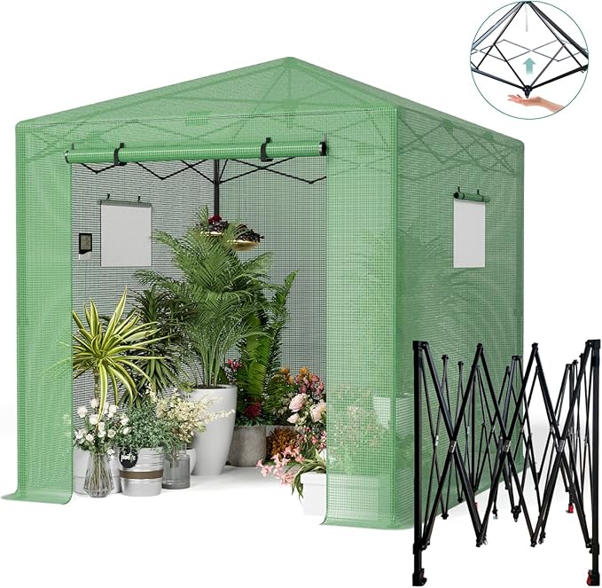 Pop Up Greenhouse, 8x6 FT Pop Up Green House for Outdoors, Portable Greenhouses, Walk-in Greenhouses, Popup Greenhouse Kit, Easy Set Up