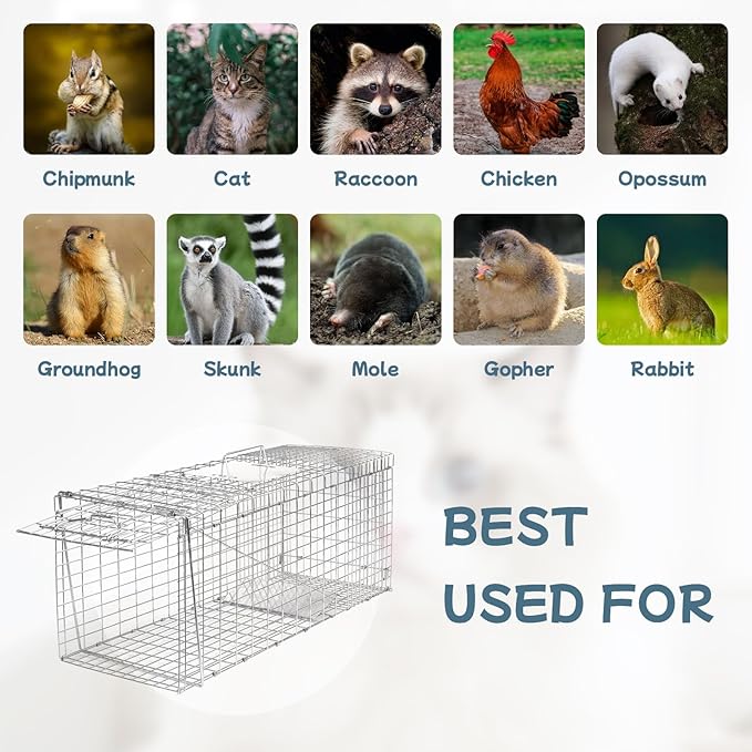 Animal Trap 32"x10"x12" Cage Trap, Heavy Duty Folding Raccoon Traps, Humane Cat Trap for Stray Cats,Rabbits,Squirrels,Outdoor Small Animal Trap,Humane Catch & Release