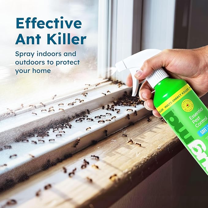 BugMD Ant Spray – Insect & Pest Spray Indoor Safe for Pets, Roach & Spider Killer, Plant-Based Insect Repellent for Home, Flea & Fly Sprayer with Clove Oil, Plant-Based Essential Oil Formula 32 fl oz
