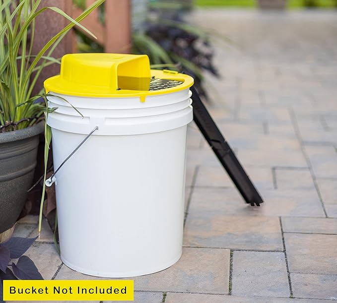 RinneTraps - Flip N Slide Bucket Lid Mouse Trap |4 Pack| |Multi Catch| |Made in USA| US Pat D1,039,648s