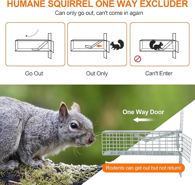 One Way Squirrel Door Excluder, Humane Squirrels, Chipmunks Contactless Excluder, for Outdoor Spaces Like Attics, Chimneys - Includes Full Installation Kit