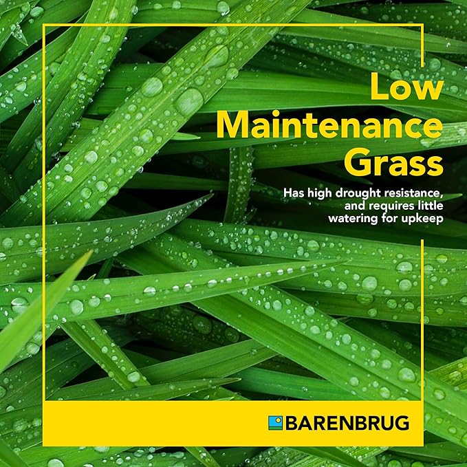 Barenbrug Winter Wonderlawn Grass Seed for Southern Lawns, Fast-Acting Durable Grass Seed Mix for All Weather Conditions, 25-lb. Bag