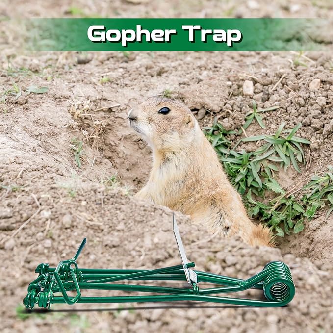 Qualirey 8 Pcs Outdoor Gopher Trap Easy Set Mole Trap Weather Resistant Gopher Killer Vole Killer for Lawn Garden Farm (Green)