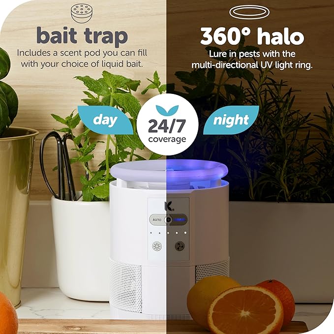 Katchy Duo Indoor Fruit Fly Trap (White) & 8 Pack Refillable Glue Boards