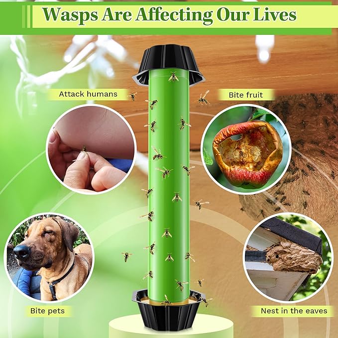 Qualirey 3 Pack Wasp Trap Bee Catcher, Wasp Traps Outdoor Hanging, Sticky Catcher for Hornets, Paper Wasps, Carpenter Bees (Green)