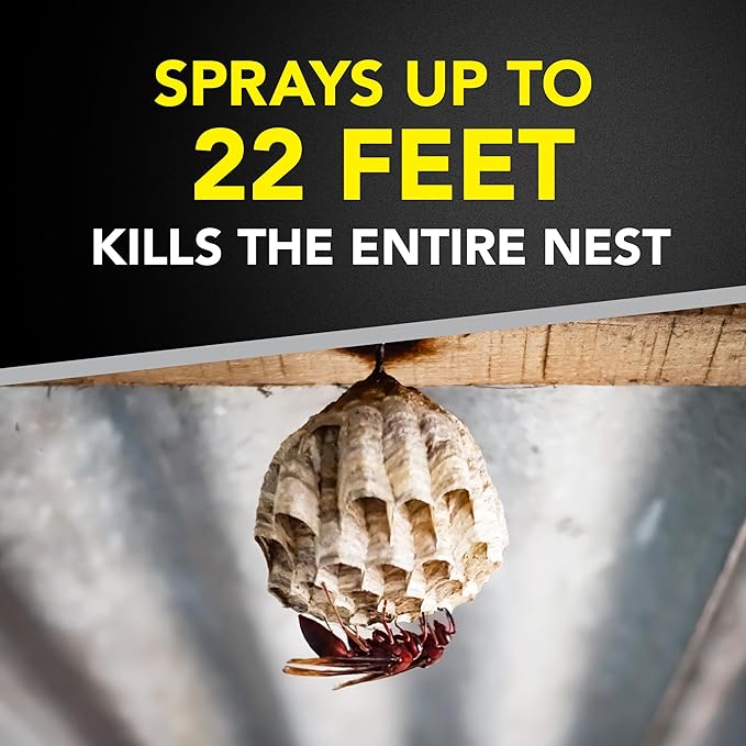 Raid Wasp & Hornet Killer Spray, Bug Killer Kills the Entire Nest, Kills Paper Wasps, Yellow Jackets, Mud Daubers and more, 17.5oz