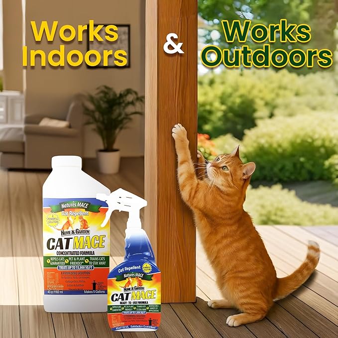Nature's Mace Cat Mace Cat Repellent, Outdoor & Indoor, All Season Training Tool, Chewing, Digging, Marking, Keep Cats Off of Lawn, Garden, Pee Deterrent, Pets, Plants, 40 oz Spray & Concentrate