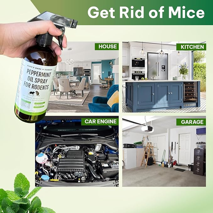 Kate Naturals Peppermint Oil Spray for Rodents, Squirrels, Mouse, Bat, Rat, Car Engines (16oz, Non-Toxic Rodent Repellent, Pet Safe)