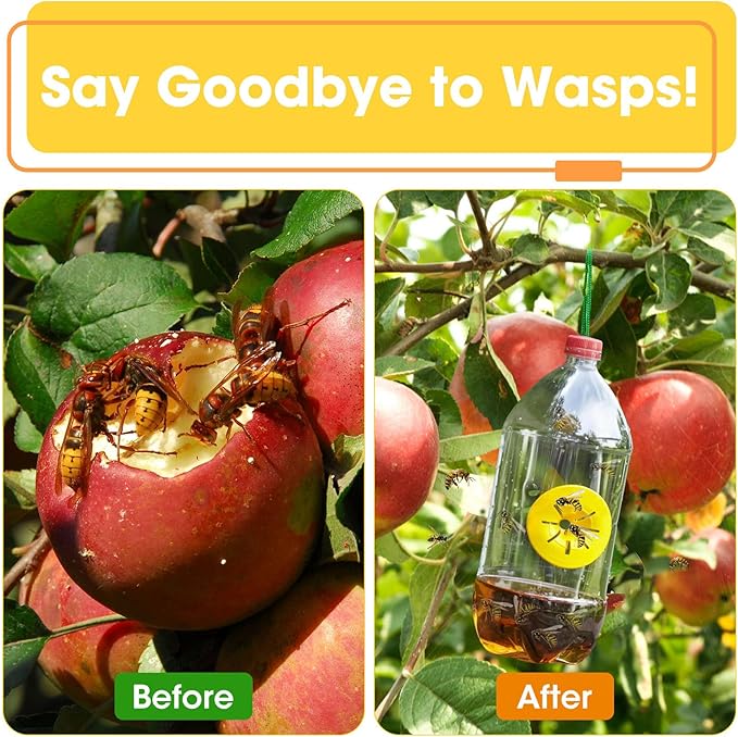 wasp Traps Outdoor Hanging 10Pack,Simple DIY Hornet Trap, Reusable Yellow Jacket Trap