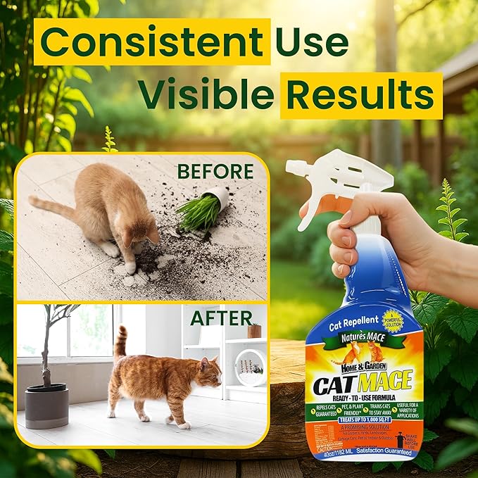 Nature's Mace Cat Mace Cat Repellent, Outdoor & Indoor, All Season Training Tool, Chewing, Digging, Marking, Keep Cats Off of Lawn, Garden, Pee Deterrent, Pets, Plants, 40 oz Spray & Concentrate
