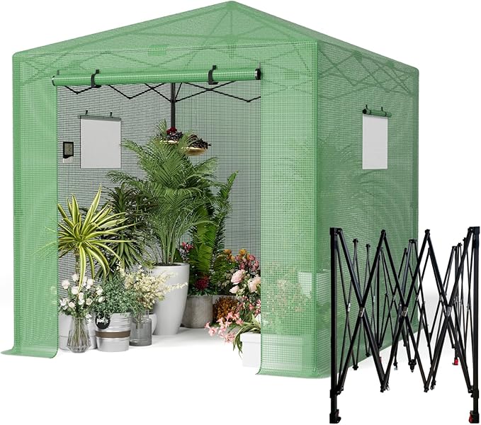 Pop Up Greenhouse, 8x6 FT Pop Up Green House for Outdoors, Portable Greenhouses, Walk-in Greenhouses, Popup Greenhouse Kit, Easy Set Up
