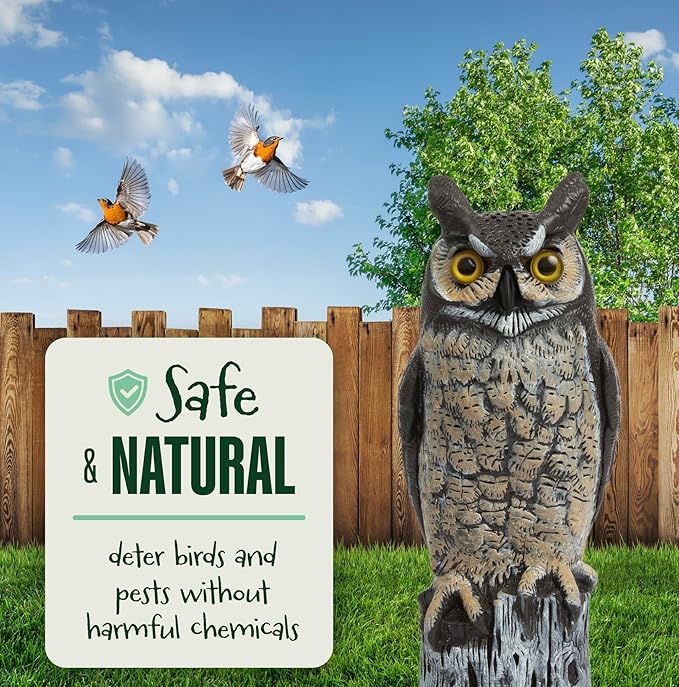 Dalen Large Fake Owl Decoy to Scare Birds Away - 16 in Hand-Painted Great Horned Owl Garden Scarecrow for Natural Pest Control - Fixed Head Design - Secure Upright by Filling with Sand/Gravel Only