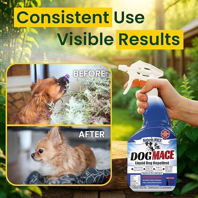Nature’s MACE Dog Mace Repellent Spray, Keep Dogs Out of Your Lawn and Garden, Training Corrector, Stop Chewing and Digging, Safe Around Kids, Pets, & Plants, 1 Gallon Ready to Use, Treats 3,000 Sq Ft