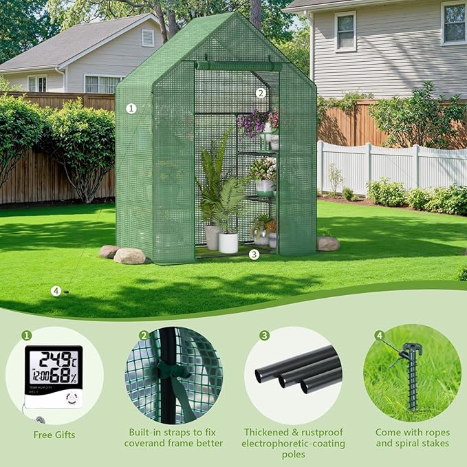 Greenhouse for Outside with Screen Windows, Outdoor Walk in Greenhouses with Durable PE Cover, 57 x 57 x 76'' Small Portable Green House with Shelves Stands,Green