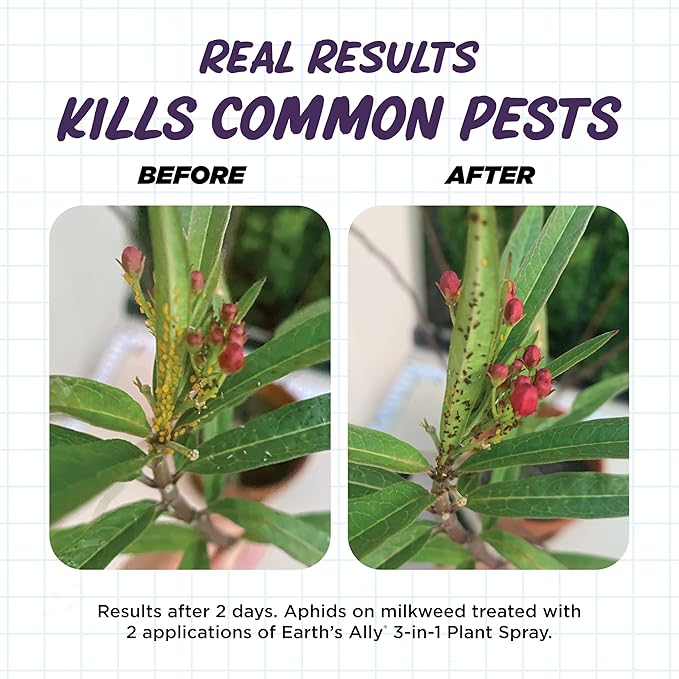 Earth's Ally 3-in-1 Plant Spray 32 Oz Concentrate for Pests and Disease - Organic Insecticide, Fungicide, Miticide - OMRI Listed for Indoor Houseplants and Outdoor Garden - Safe for Bees, Kids, Pets
